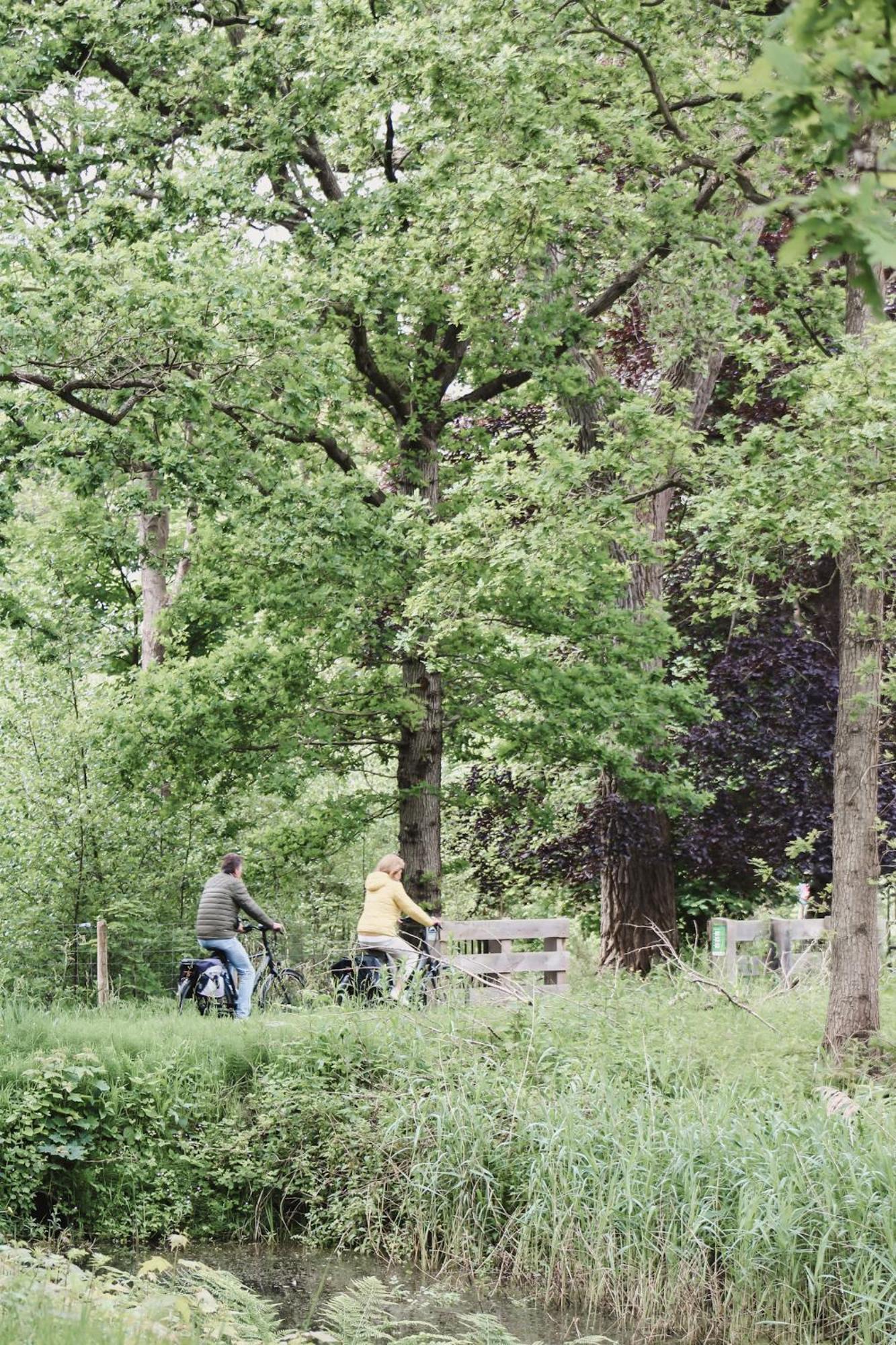 קסטריקום Zoomers Aan Het Bos מראה חיצוני תמונה